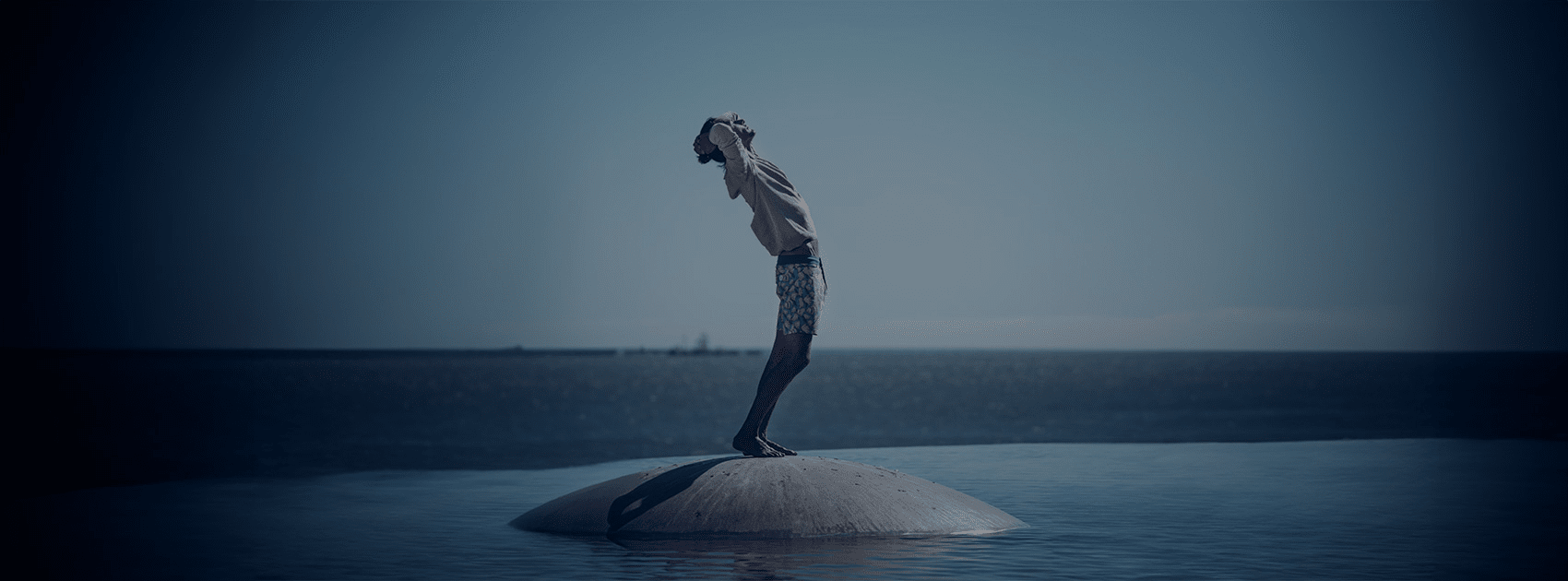 Swim Shorts - Barth5